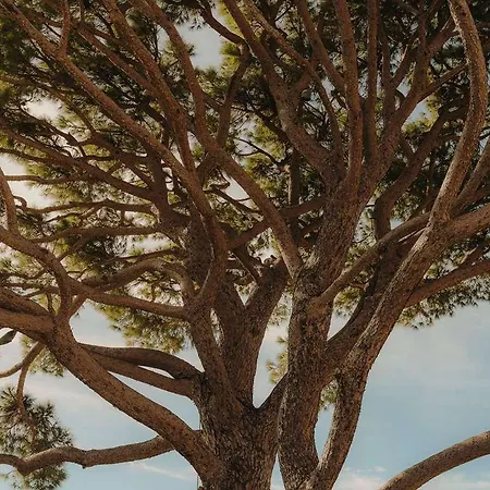 جران سون نيت فندق